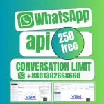 WhatsApp API 250 limit